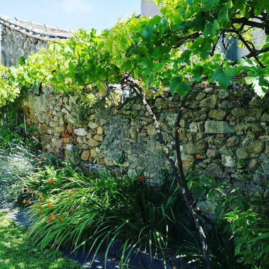 Gite Maison De L'Abbe Soreze Екстер'єр фото