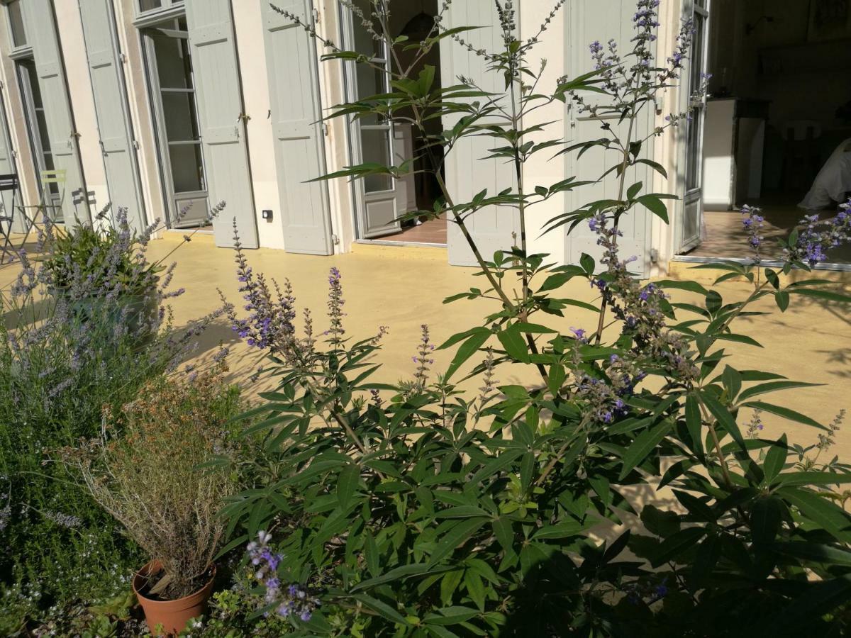 Gite Maison De L'Abbe Soreze Екстер'єр фото